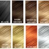 Kerathik hair fiber color chart